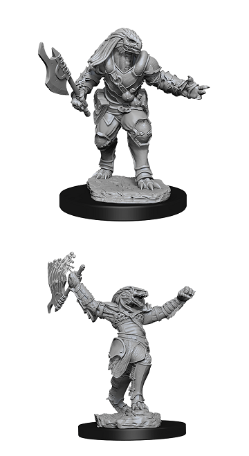 D&D Nolzur's: Dragonborn Female Fighter