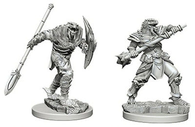 D&D Nolzur's: Dragonborn Male Fighter with Spear