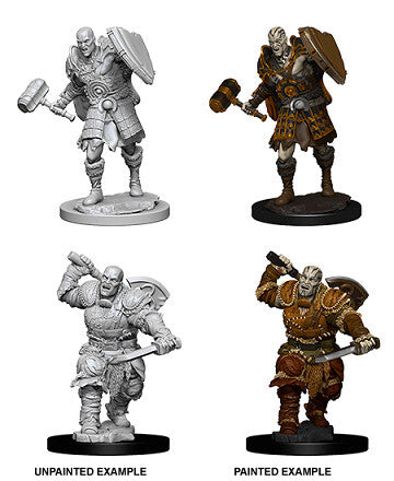 D&D Nolzur's: Goliath Male Fighter