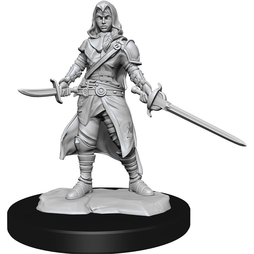 D&D Nolzur's: Half-Elf Female Rogue