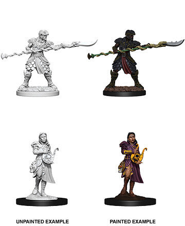 D&D Nolzur's: Yuan-Ti Pureblood Adventurers