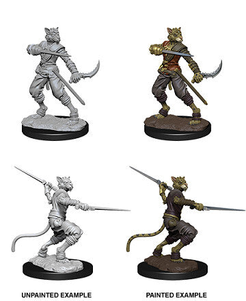 D&D Nolzur's: Tabaxi Male Rogue