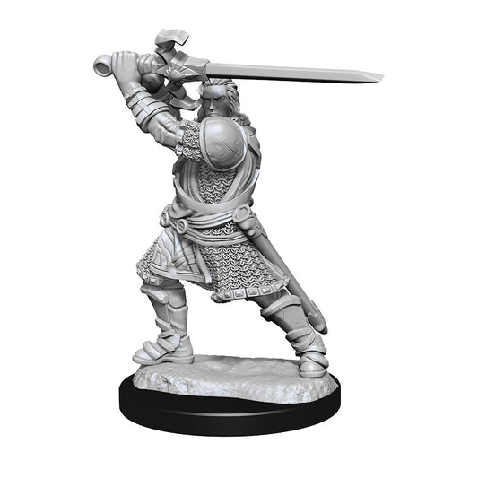 D&D Nolzur's: Human Male Paladin Two Handed Sword