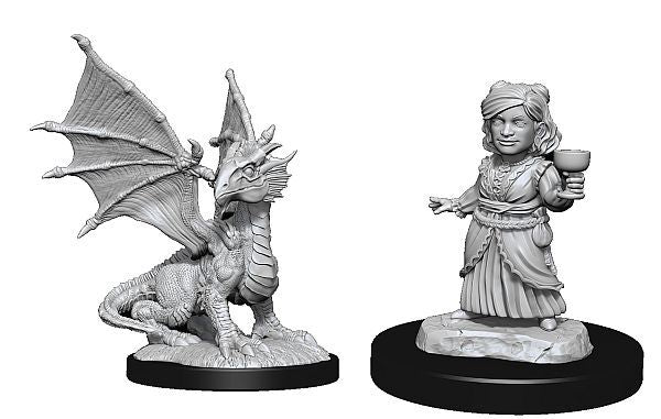 D&D Nolzur's: Silver Dragon Wyrmling & Halfling Dragon Friend