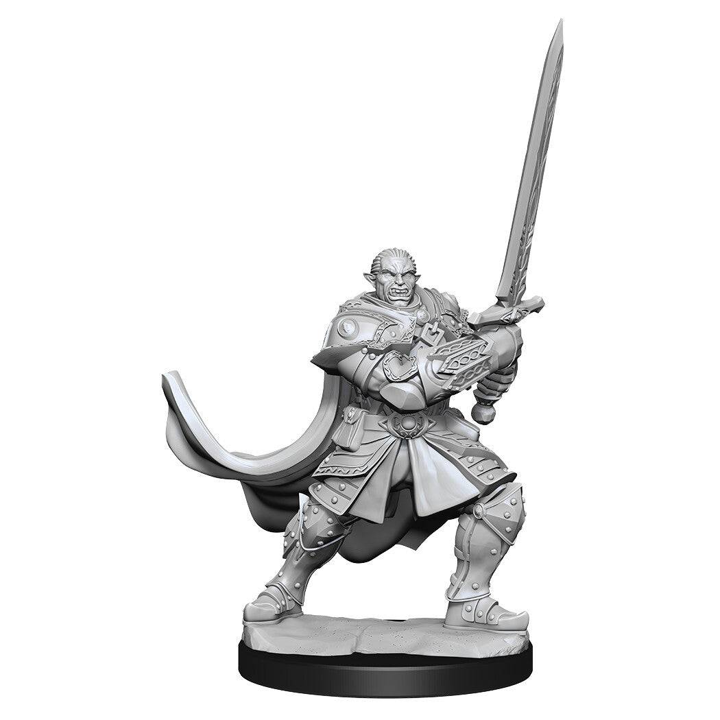 D&D Nolzur's: Half-Orc Male Paladin