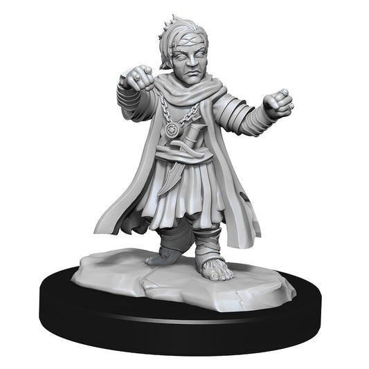 Pathfinder Deep Cuts: Halfling Male Monk