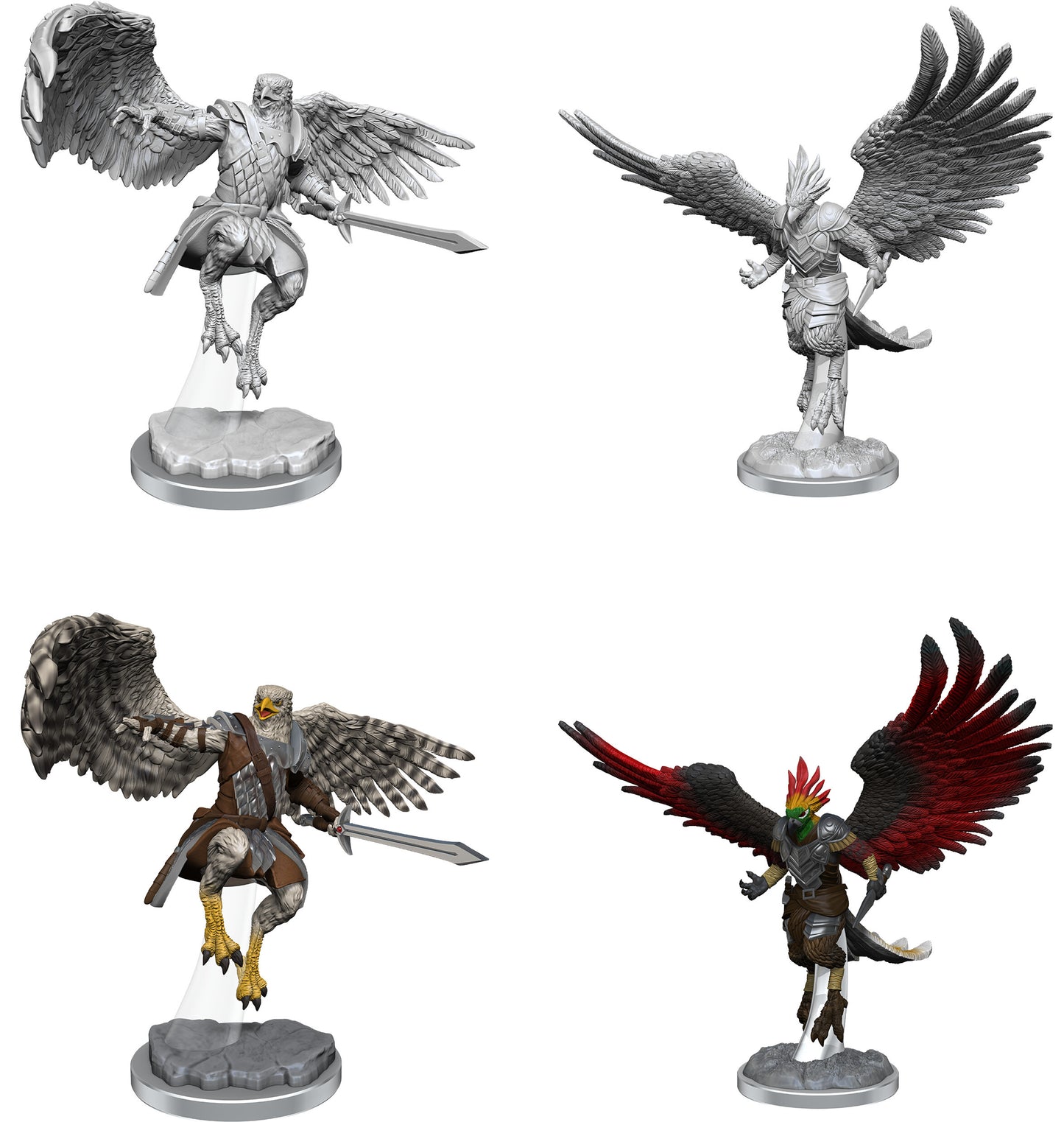 D&D Nolzur's: Aarakocra Paladins