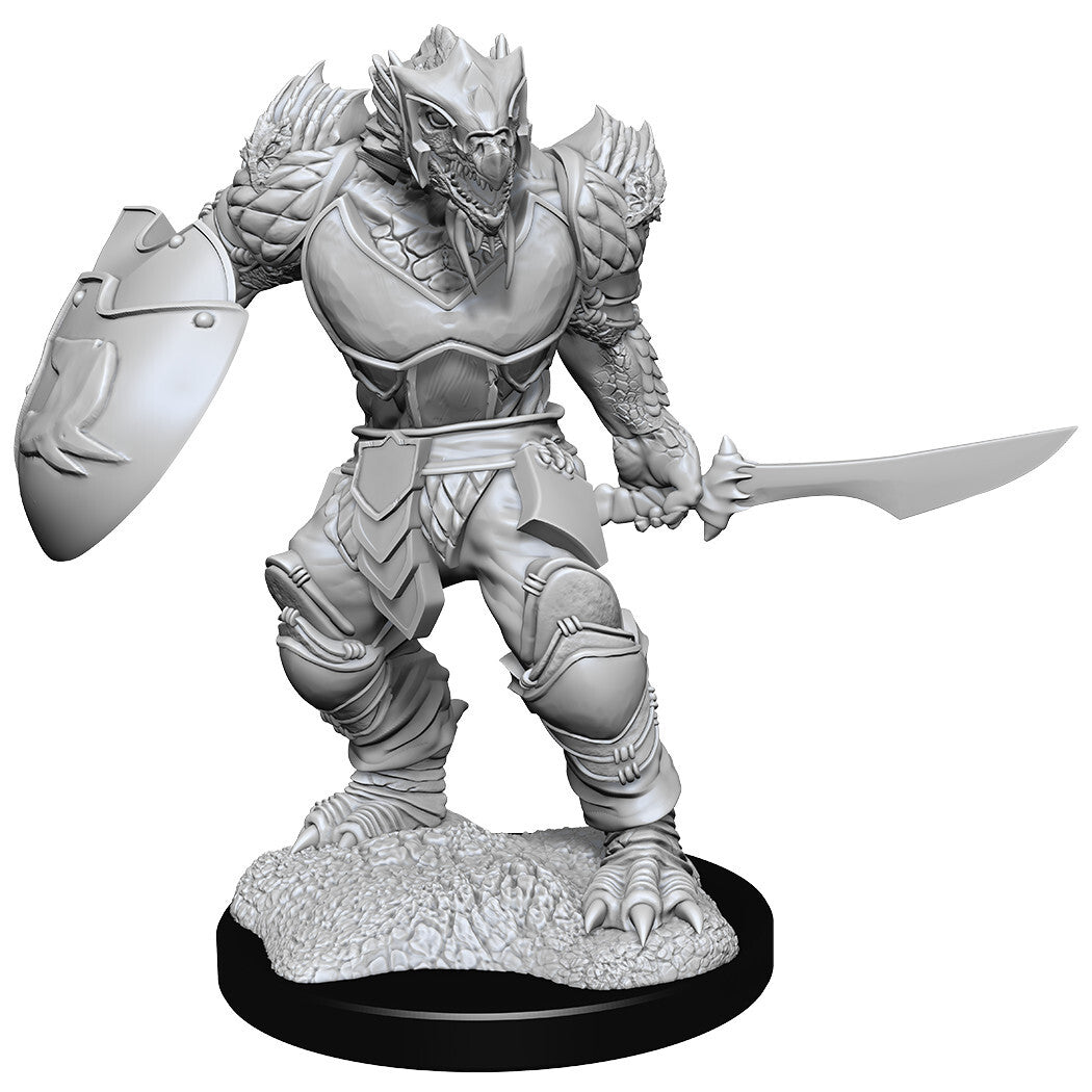 D&D Nolzur's: Dragonborn Male Fighter