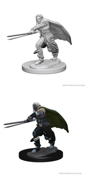 D&D Nolzur's: Elf Male Ranger Dual Sword