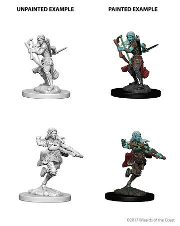 D&D Nolzur's: Air Genasi Female Rogue