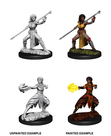 D&D Nolzur's: Half-Elf Female Monk