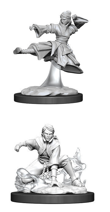 D&D Nolzur's: Human Female Monk Flying Kick