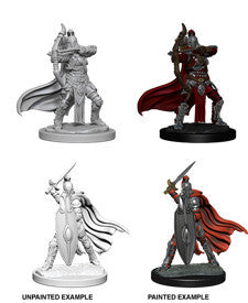 Pathfinder Deep Cuts: Female Knights & Gray Maidens