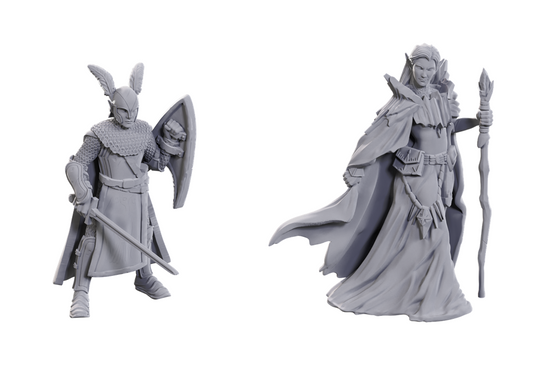 D&D Nolzur's: 50th Anniversary Elves