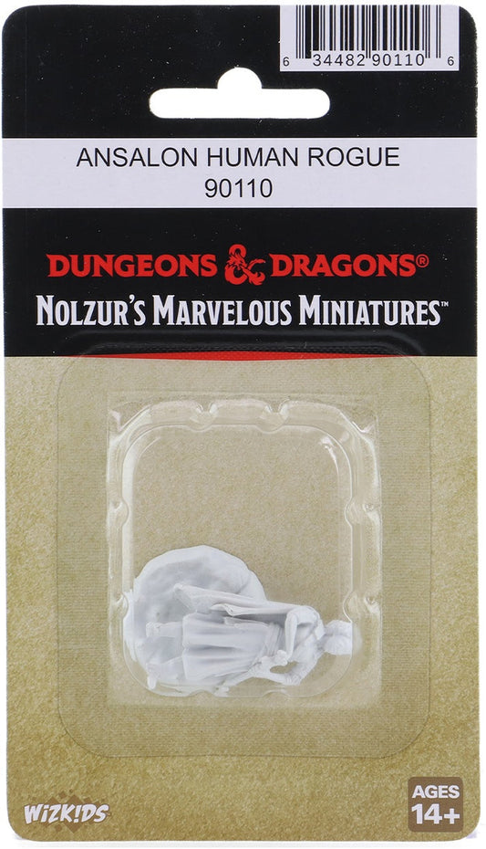 D&D Nolzur's: Ansalon Human Female Rogue