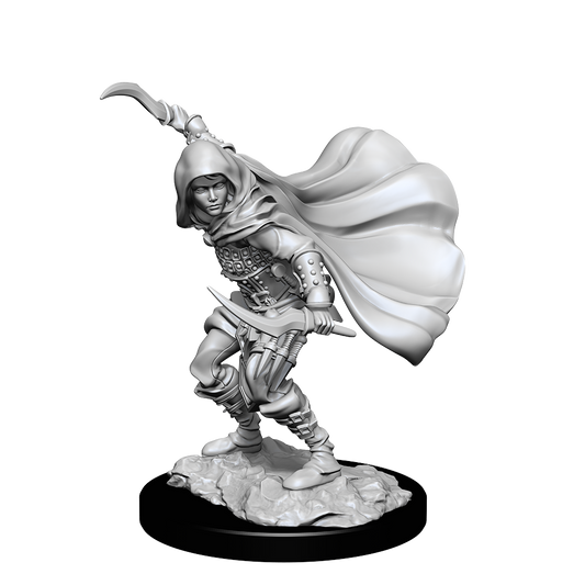 Pathfinder Deep Cuts: Human Female Rogue